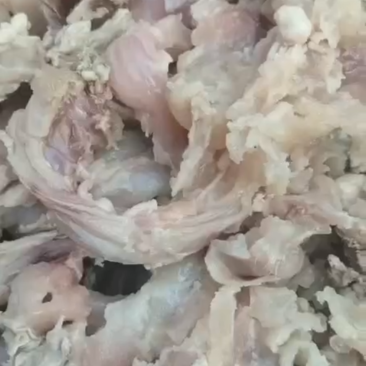 牛蹄筋度好无油欢迎大家来订购快
