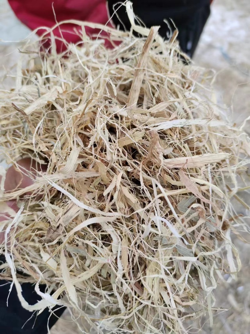 精品玉米秸秆牛羊驴马饲料，厂家精品货，大量出售