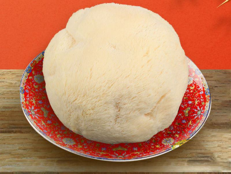 猴头菇新鲜食用菌养胃煲汤火锅食材