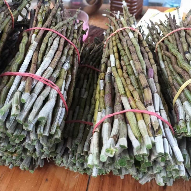 精品浙江品种软脚铁皮石斛鲜条粗壮胶质好少渣产地直发多规格