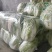 【精品现货】湖北黄心白菜，毛菜净菜规格齐全，提供上车服务