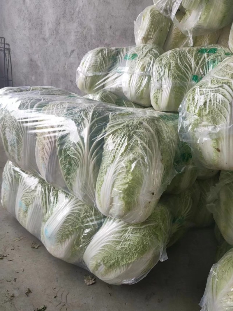 【精品现货】湖北黄心白菜，毛菜净菜规格齐全，提供上车服务