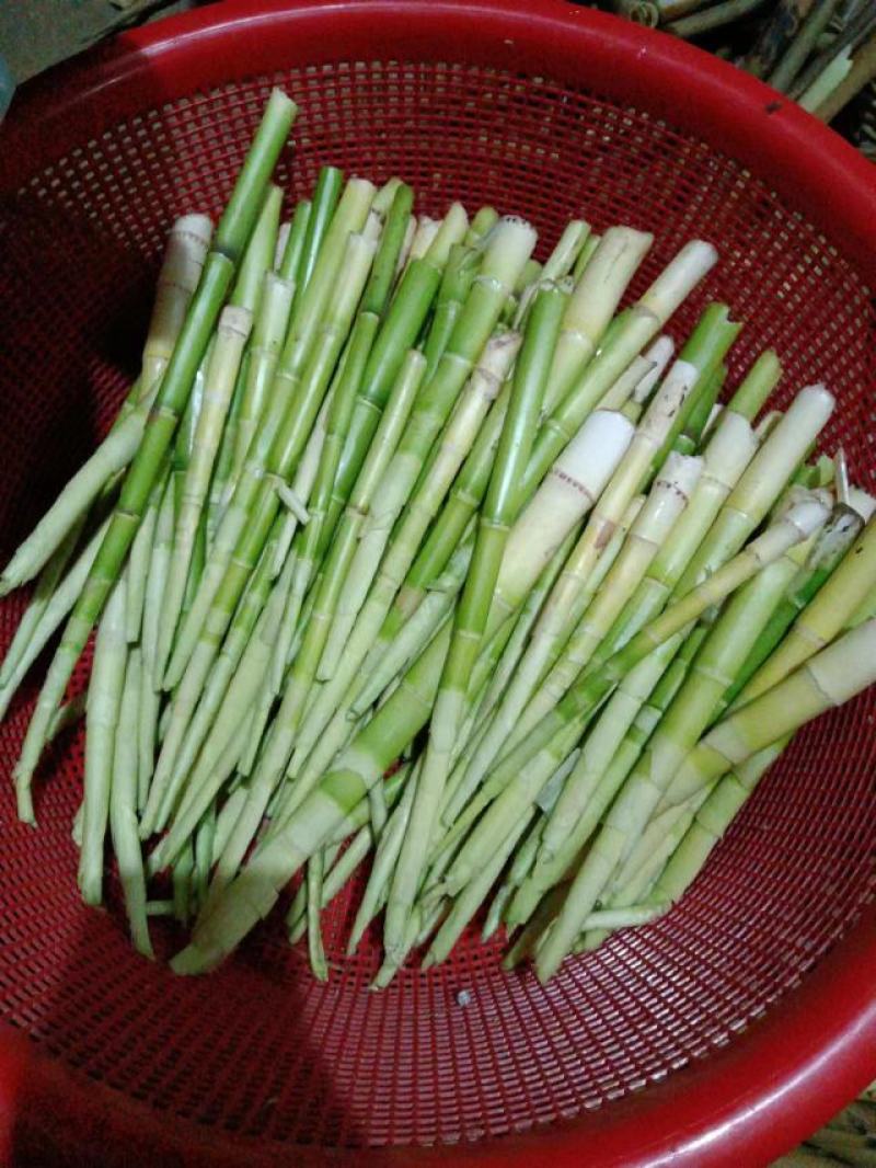 金竹笋小笋带壳去壳都有，欢迎新老顾客来电咨询