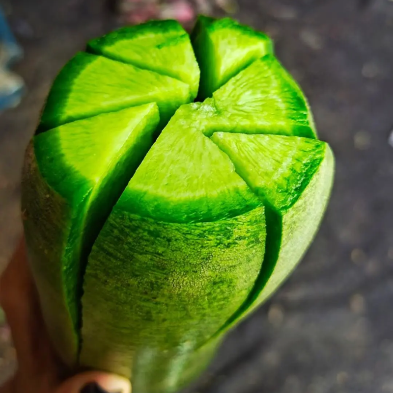 精品批发潍县萝卜，水果萝卜口感好全国发货大量有货欢迎发财