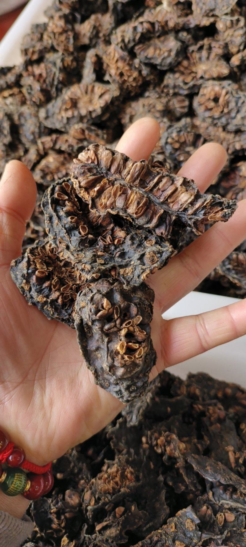 诺丽果干干货包邮产地批发量大从优一手货源