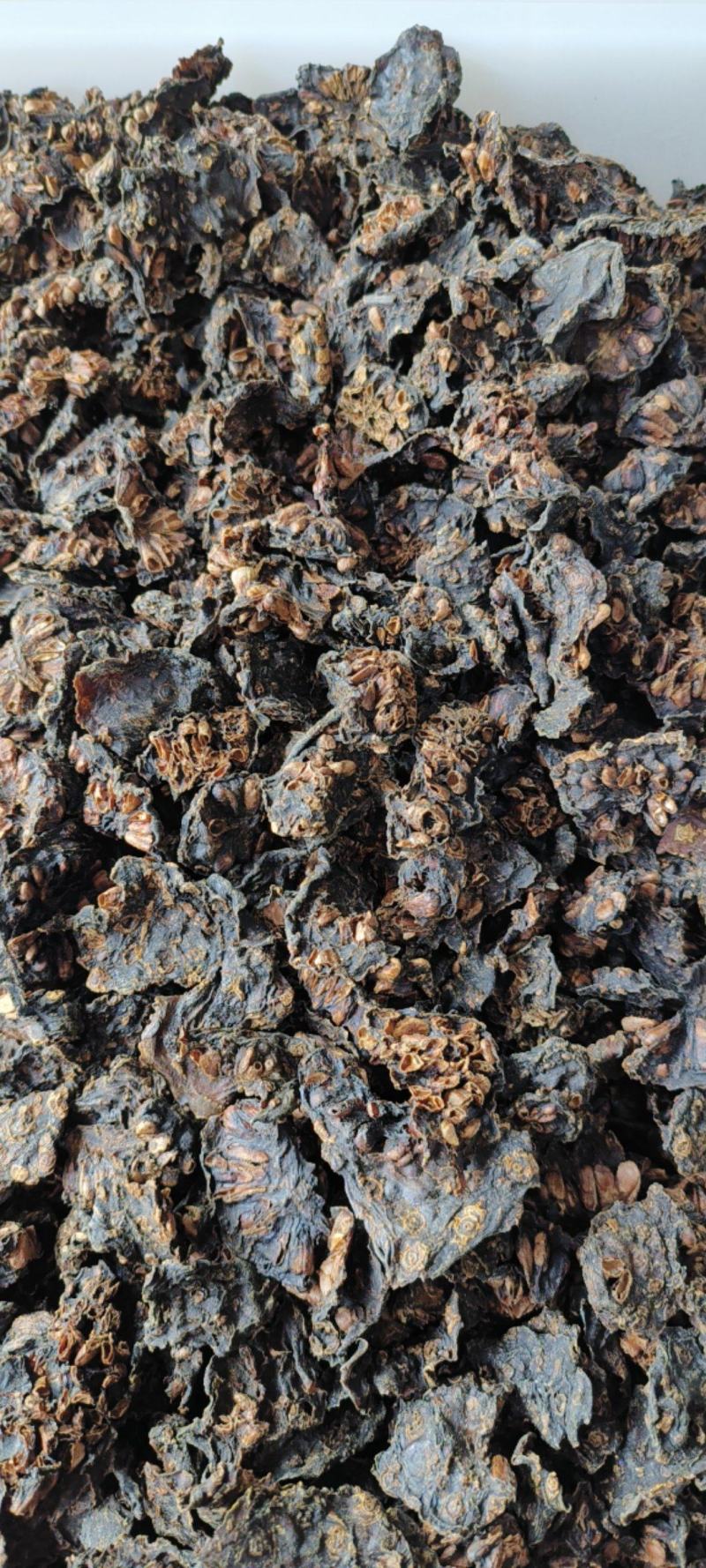 诺丽果干干货包邮产地批发量大从优一手货源