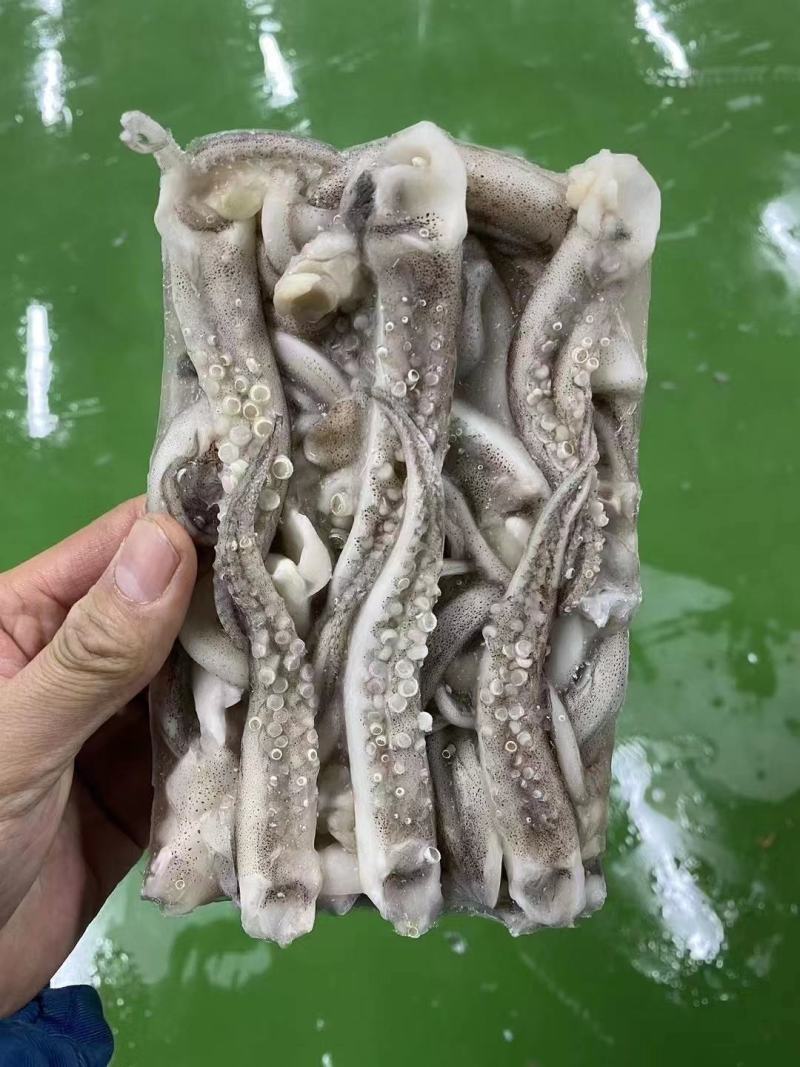 鱿鱼须二本足（阿尤）