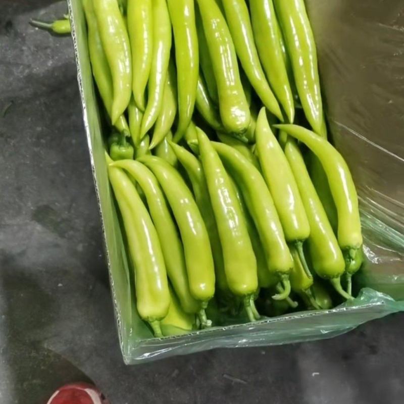 产地蔬菜批发