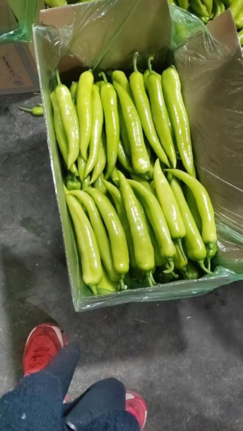 产地蔬菜批发