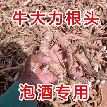 牛大力干货干片野生牛大根头酒厂泡酒用料特级好料