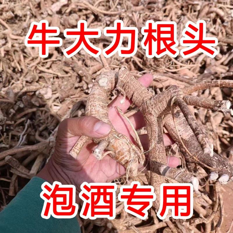 牛大力干货干片野生牛大根头酒厂泡酒用料特级好料