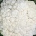 （有机花菜）大量供应保质保量价格便宜欢迎咨询订购