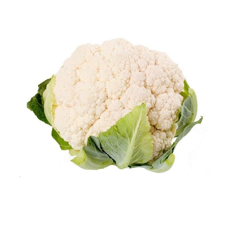 （有机花菜）大量供应保质保量价格便宜欢迎咨询订购