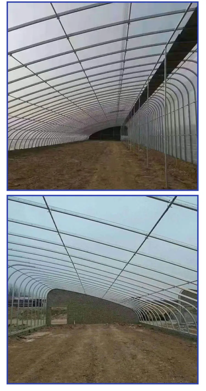 温室养殖棚骨架养鸡畜牧业大棚羊舍猪牛简易暖棚包塑椭圆管大