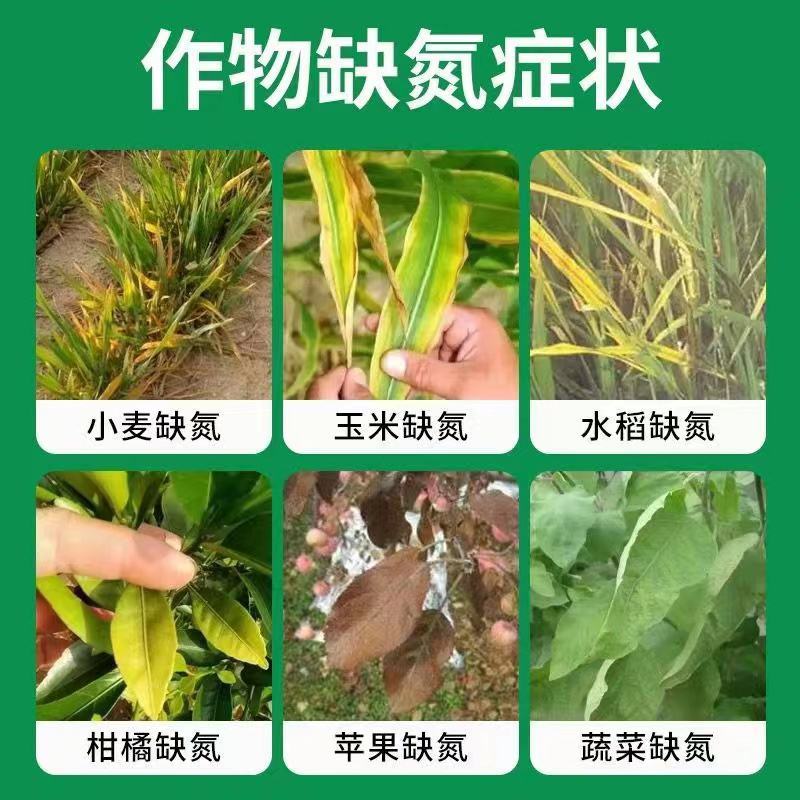 缓释氮液体肥促进作物生长提高产量快速长效性能稳定