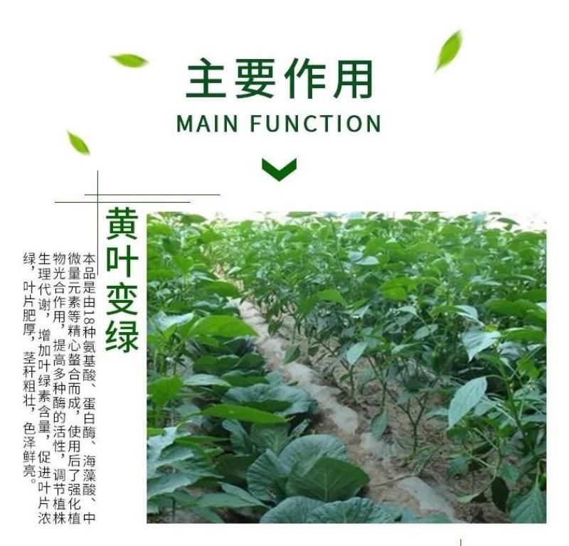 绿叶久久植物叶面肥花卉蔬菜绿植黄叶变绿速效绿叶预防黄叶