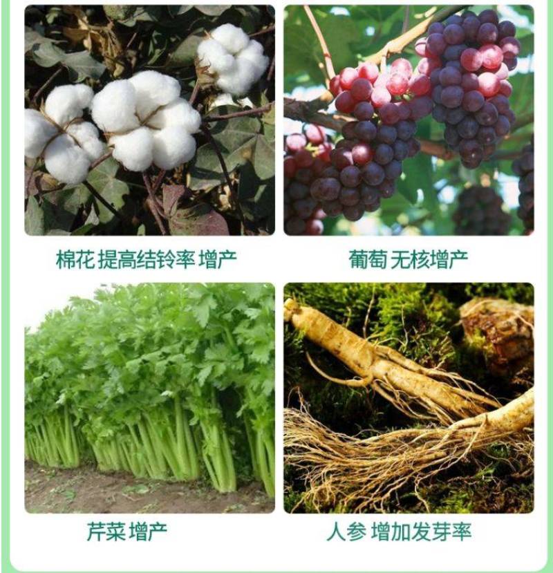 3%赤霉酸赤霉素增产苗齐保花保果植物生长调节剂92