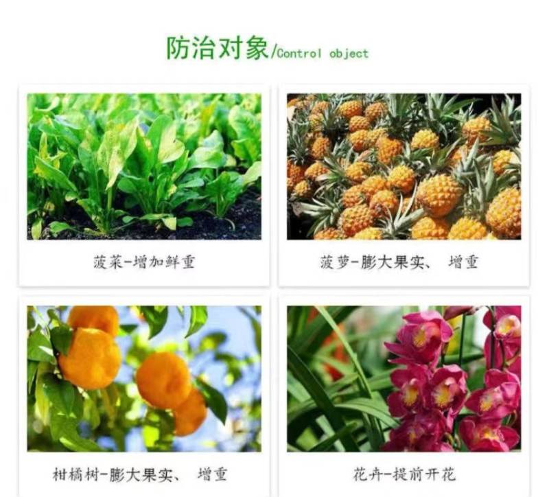 3%赤霉酸赤霉素增产苗齐保花保果植物生长调节剂92