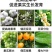 3%赤霉酸赤霉素增产苗齐保花保果植物生长调节剂92