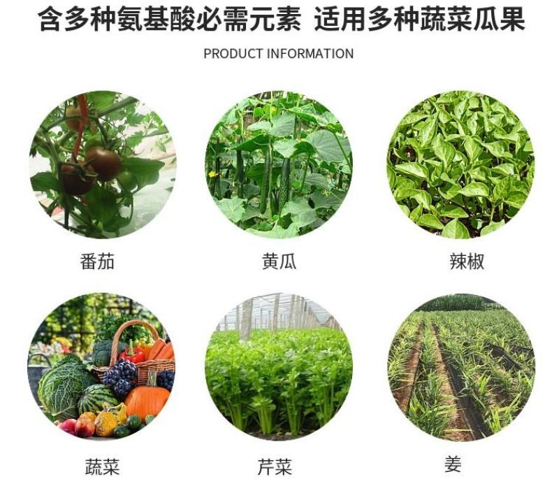 绿叶先锋一喷绿黄叶变绿叶绿素花卉蔬菜植物绿叶叶面肥
