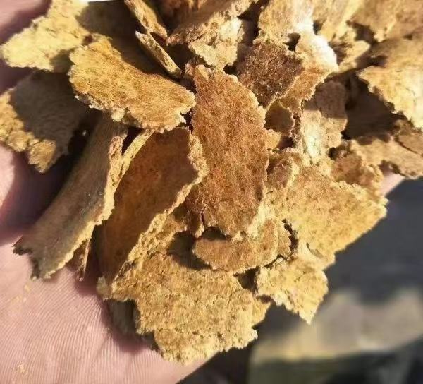 花生脂肪酸组成HPLC检测现场:体现其作为油料作物的法定检测维度——油酸/亚油酸比例是核心品质指标,与粗粮/细粮的淀粉分类逻辑完全无关 实验室检测场景:专业人员使用高效液相色谱仪(HPLC)分析花生仁提取液中的油酸与亚油酸峰图,电脑屏幕显示清晰分离的双峰谱线,操作台摆放标有“Arachis hypogaea L.”的样品管及国标LS/T 3247-2017文件