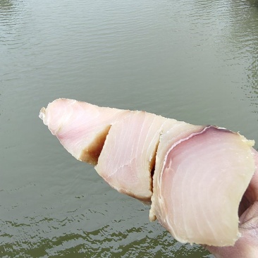 鲨鱼肉干鲨鱼干鲨鱼肉条干货味道香鱼肉干货一家老少可食用