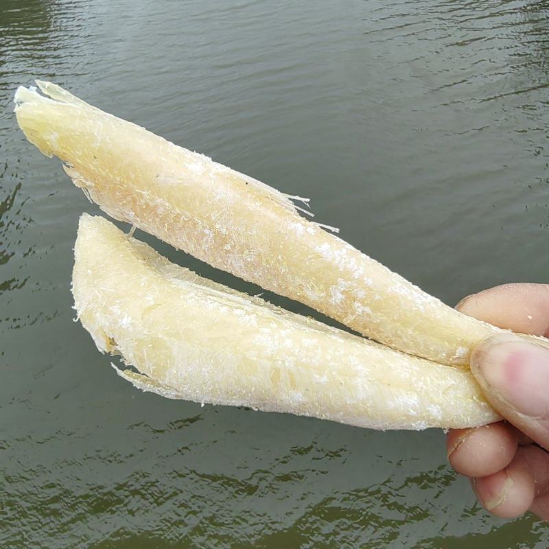 特大黄骨鱼干淡香微咸海鱼黄鱼干货