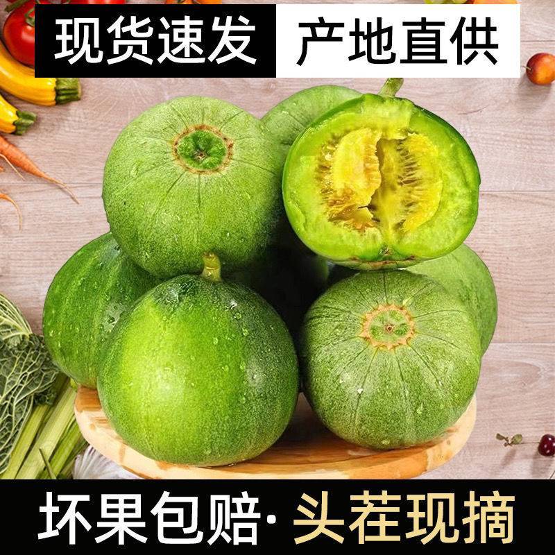 辽宁绿宝甜瓜产地大量供应对接批发市场商超电商团购