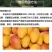 芒果拉长丰满素芒果叶面肥催芽增甜保花保果防裂膨大素