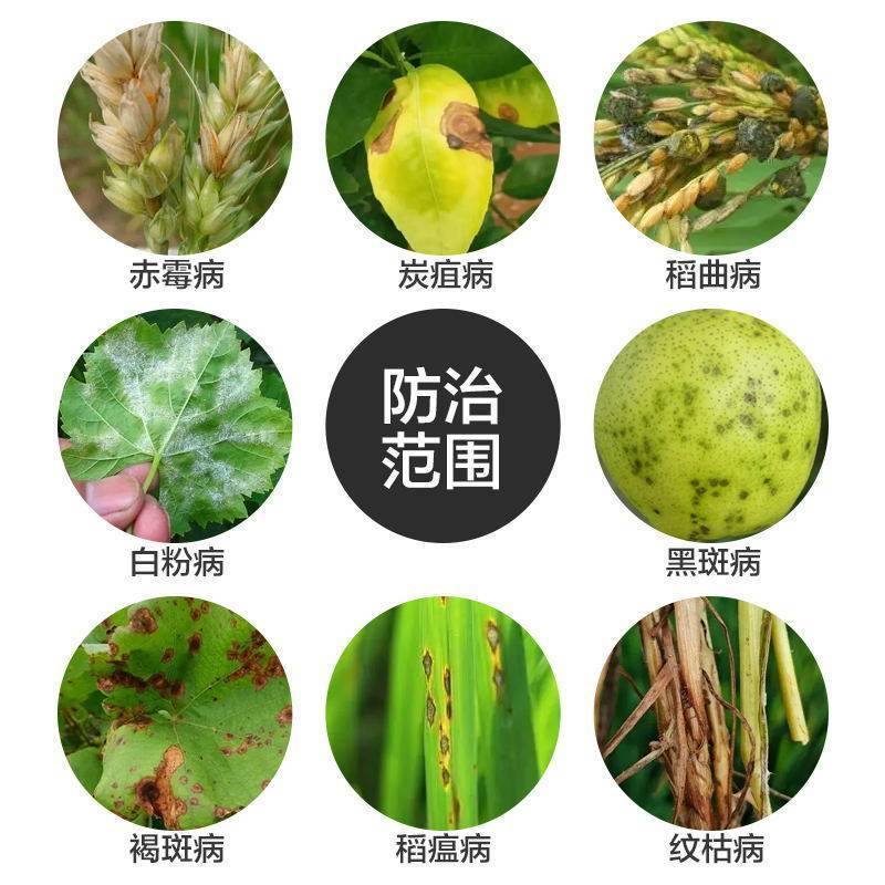 17%唑醚氟环唑赤霉病炭疽病稻瘟病纹枯病褐斑病白粉病作物