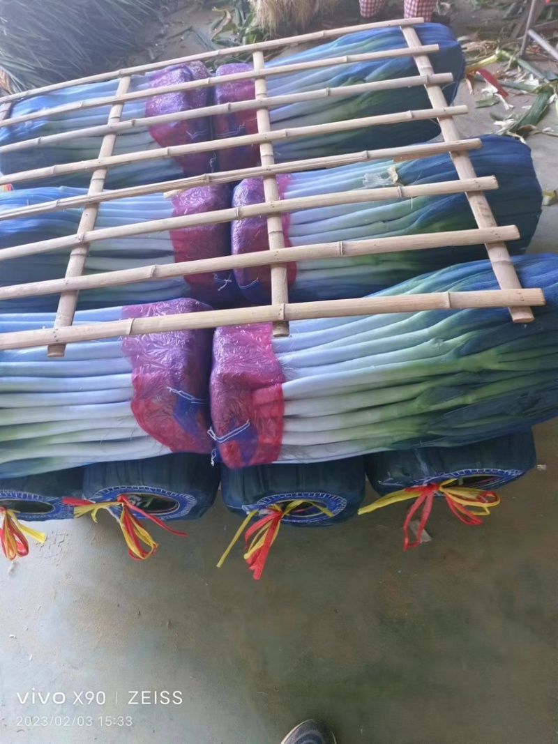 精品铁杆大葱，白长，叶绿，保质保量，价格优惠欢迎