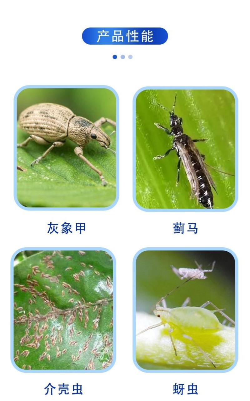 美今联苯菊酯螺虫乙酯蚧壳虫木虱白粉虱灰象甲杀虫剂