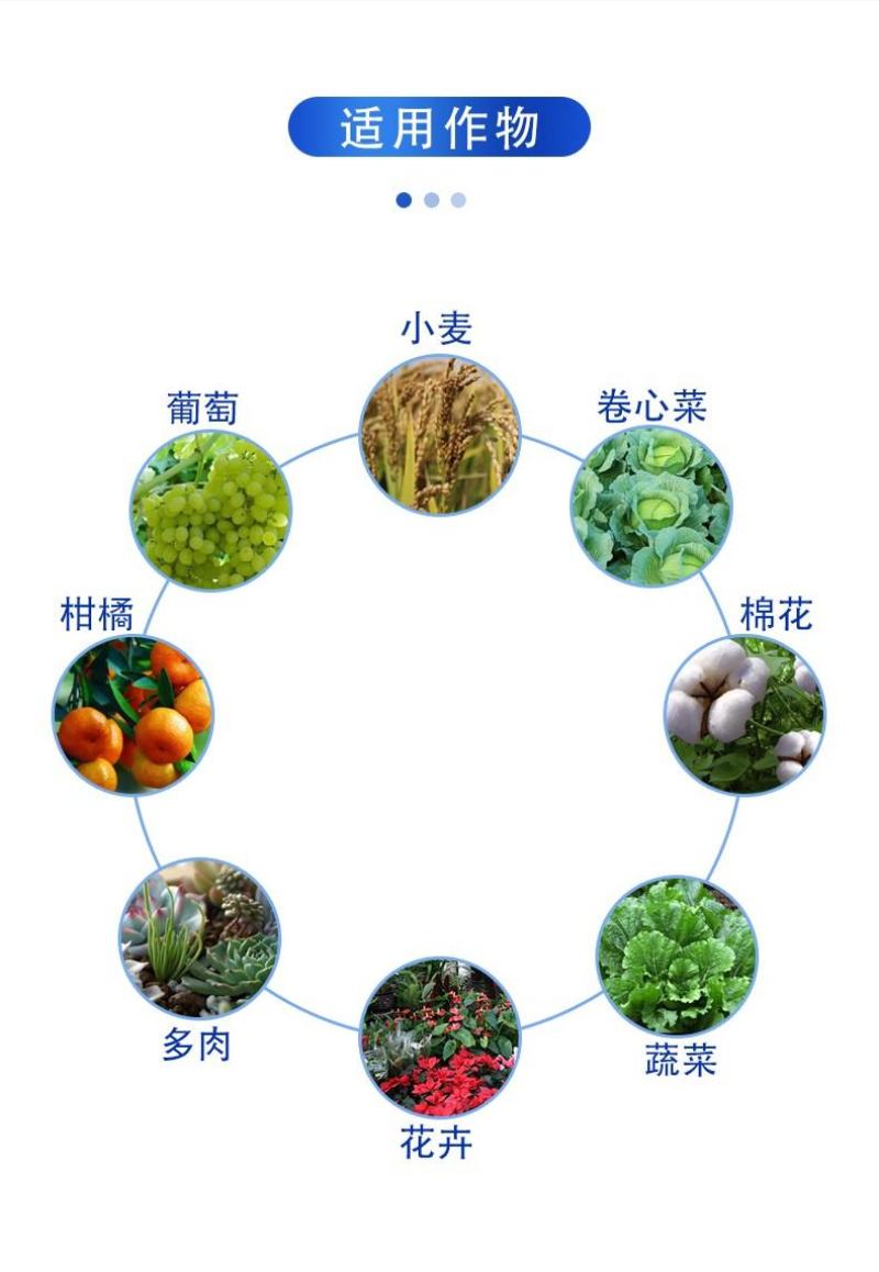 美今联苯菊酯螺虫乙酯蚧壳虫木虱白粉虱灰象甲杀虫剂