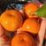 沙糖桔柑橘广西产地直发，货源充足全国可发