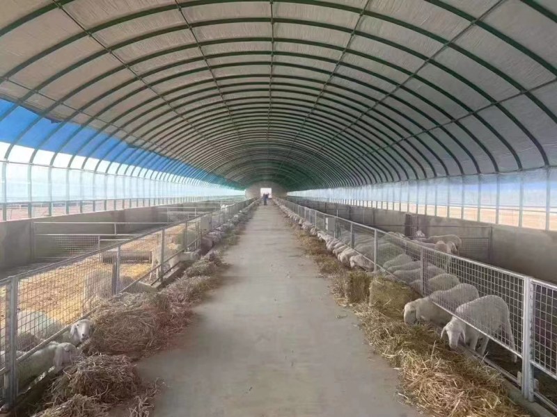 养殖大棚质保二十年厂家直发规格齐全欢迎定制咨询
