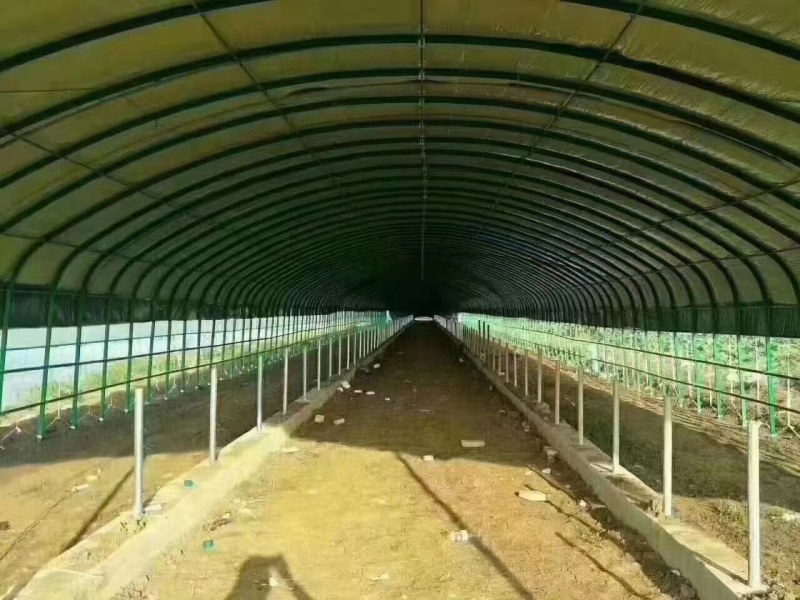 养殖大棚质保二十年厂家直发规格齐全欢迎定制咨询