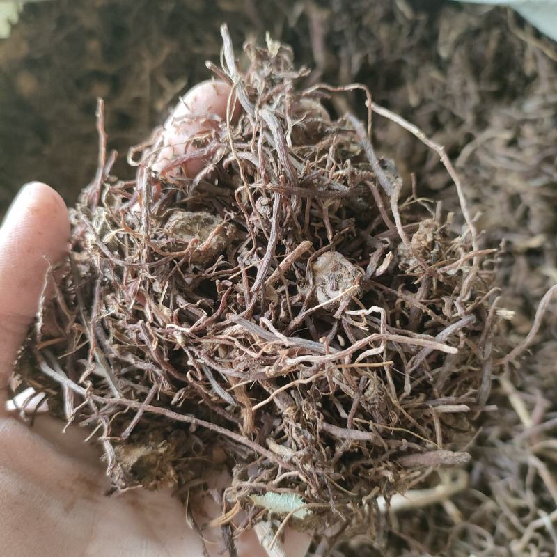 紫苑祥泰药材栈中药材批发零售实物拍摄量多从优欢