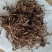 紫苑祥泰药材栈中药材批发零售实物拍摄量多从优欢