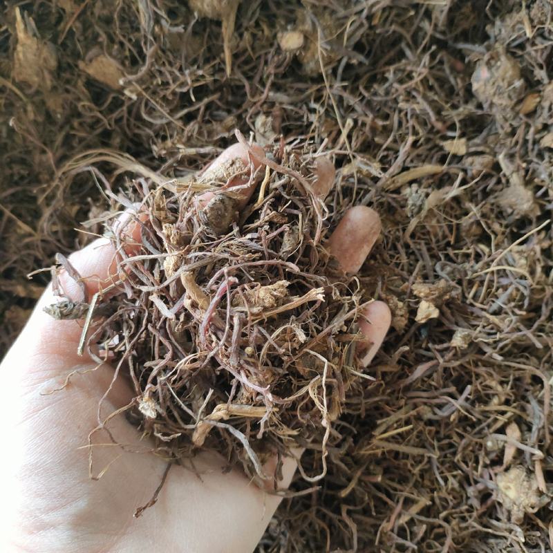 紫苑祥泰药材栈中药材批发零售实物拍摄量多从优欢
