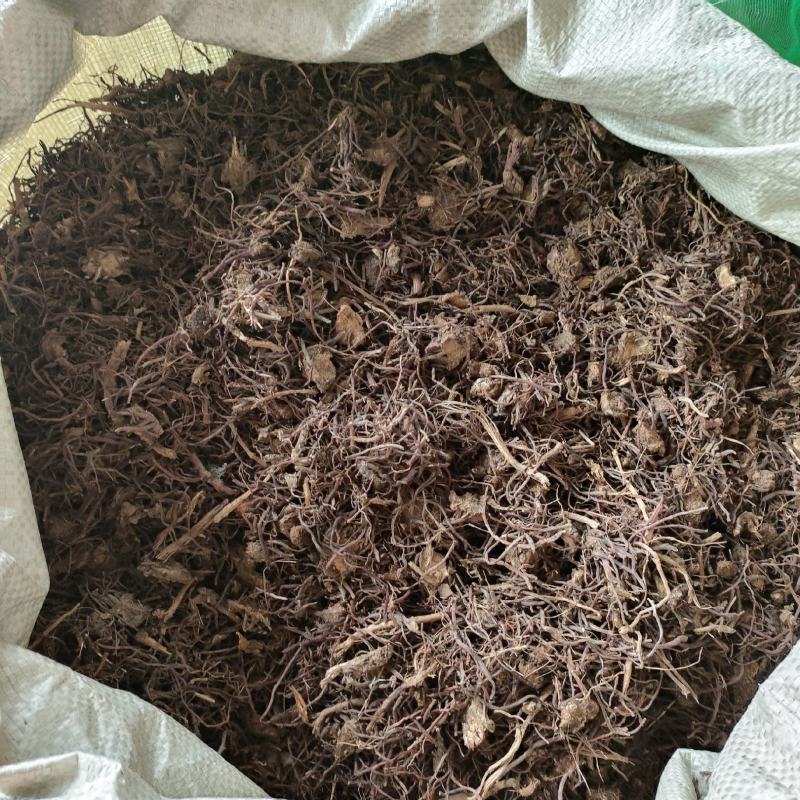 紫苑祥泰药材栈中药材批发零售实物拍摄量多从优欢
