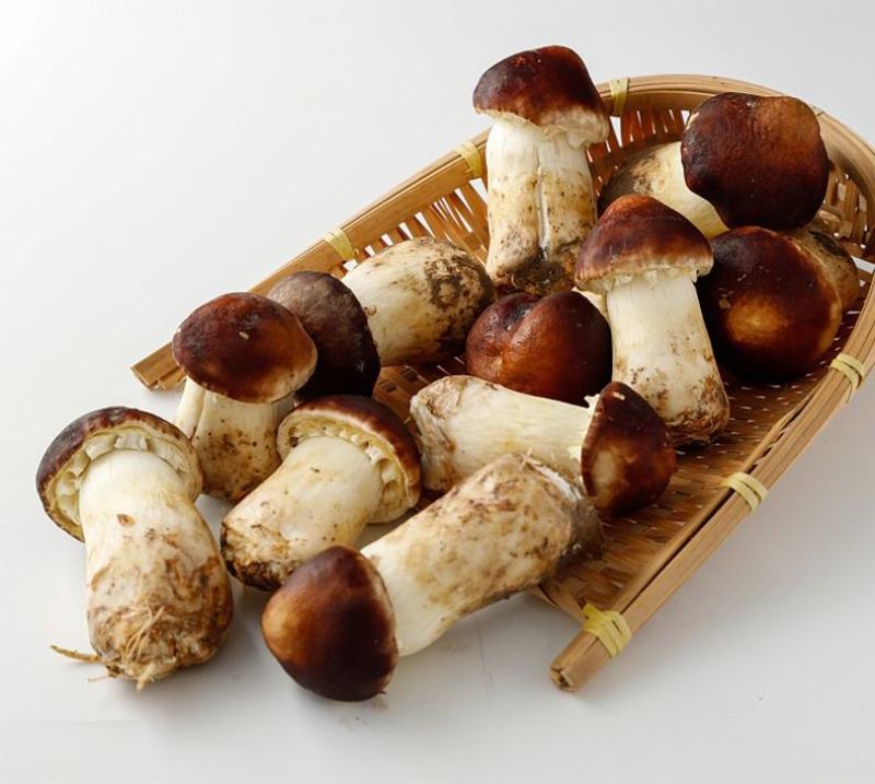 赤松茸大球盖新鲜菌菇炒菜火锅食材