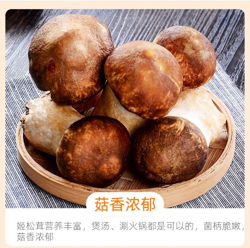 赤松茸大球盖新鲜菌菇炒菜火锅食材