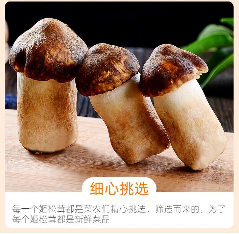 赤松茸大球盖新鲜菌菇炒菜火锅食材