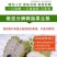 广西释迦果产地直发，货源充足实力一件代发对接各大电商平台