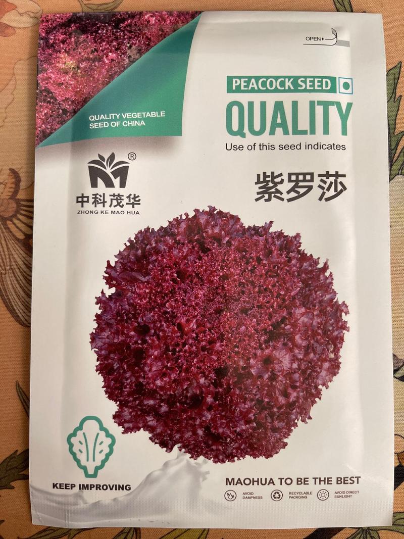 紫罗莎紫色散叶生菜种子，速生，耐热耐寒，适应性广