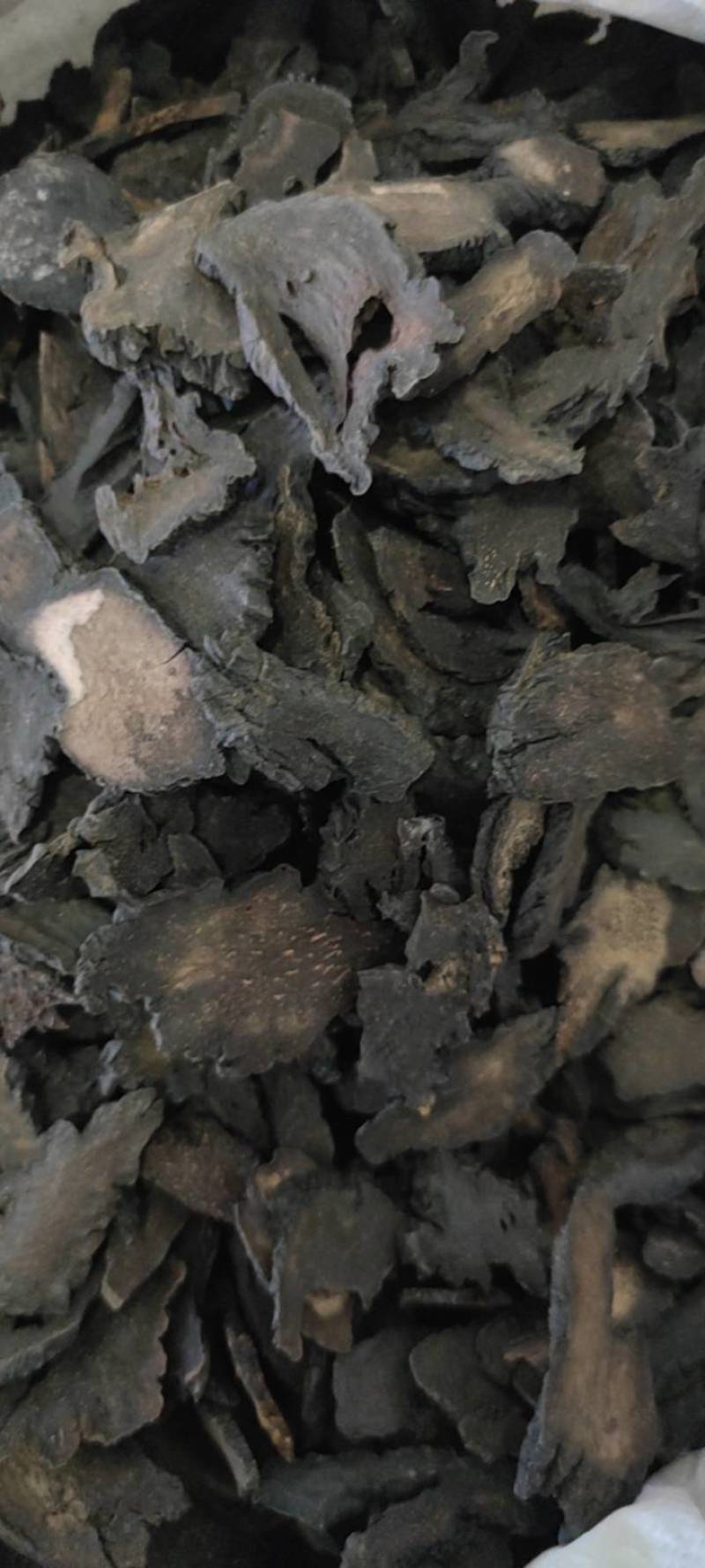 大云肉苁蓉硬大云各种规格现货批发零售各种中药材