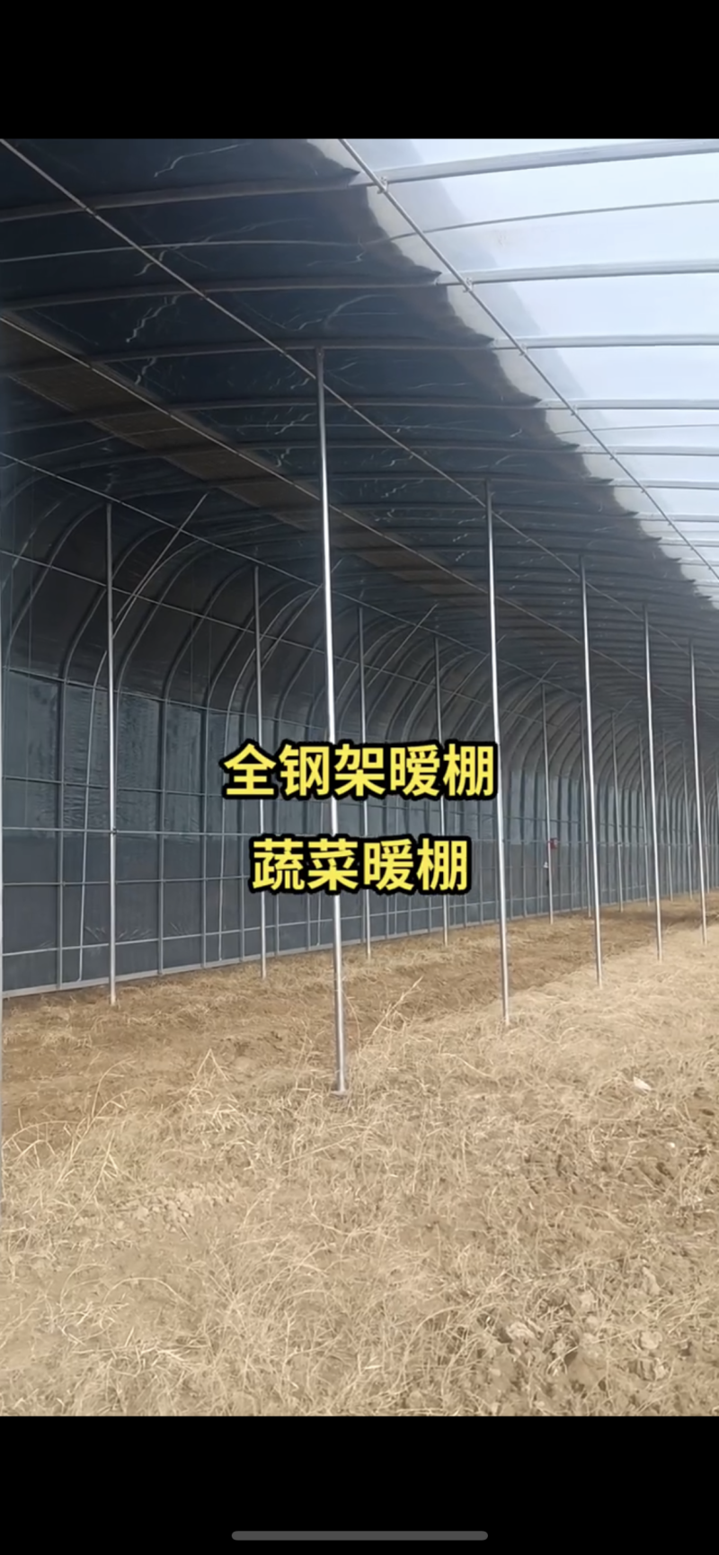 专业生产各种规格养殖大棚含覆盖膜包建全国发货
