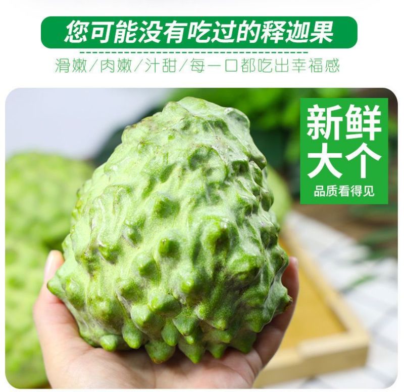 广西牛奶凤梨释迦果现货批发，货充足大果佛头摩尼果包邮