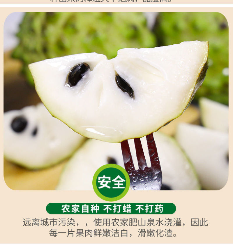 广西牛奶凤梨释迦果现货批发，货充足大果佛头摩尼果包邮