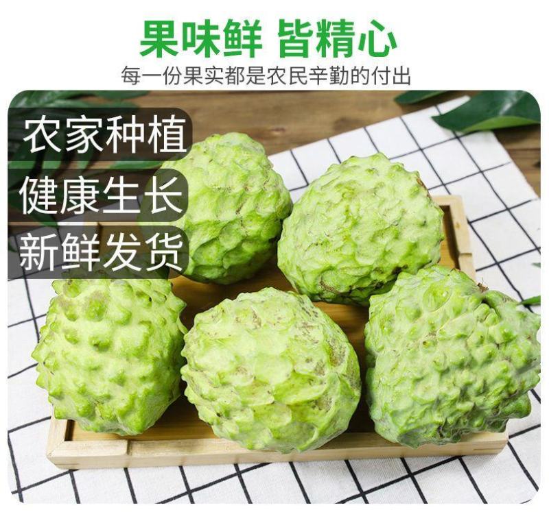 广西牛奶凤梨释迦果现货批发，货充足大果佛头摩尼果包邮